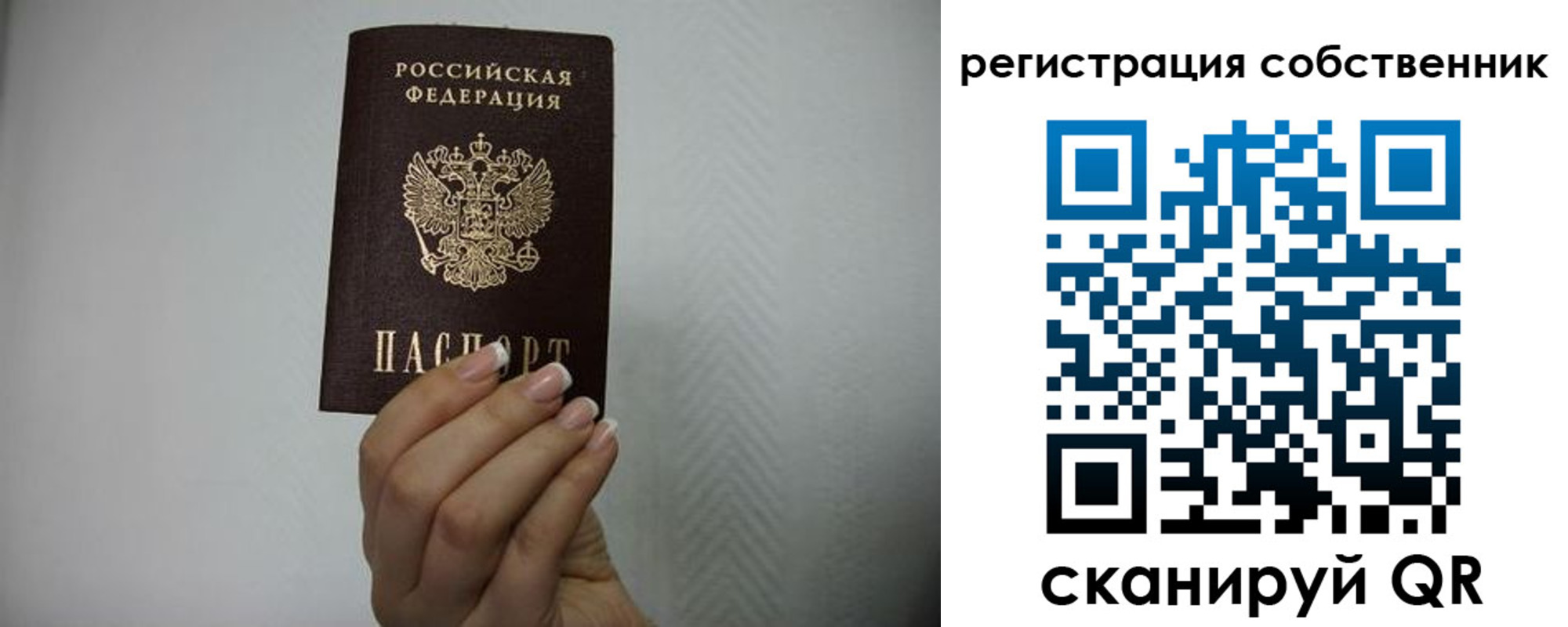 временная регистрация для школы в Талице